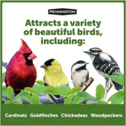 Pennington Cedar Grand Snack Shack Bird Feeder -Sunny Decor Shop 679366 PT6. AC SS1800 V1672248111