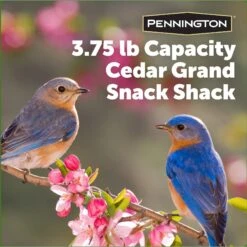 Pennington Cedar Grand Snack Shack Bird Feeder -Sunny Decor Shop 679366 PT8. AC SS1800 V1672244512