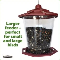 Pennington Earth Smart Recycled Grand Ecozebo Bird Feeder 13 Pennington Earth Smart Recycled Grand Ecozebo Bird Feeder -Sunny Decor Shop 679382 PT2. AC SS1800 V1666188676
