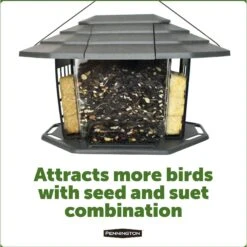 Pennington Earth Smart EcoBistro Bird Feeder -Sunny Decor Shop 679398 PT2. AC SS1800 V1666155255