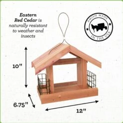 Pennington Cedar Chalet Bird Feeder 9 Pennington Cedar Chalet Bird Feeder -Sunny Decor Shop 679414 PT1. AC SS1800 V1666187805