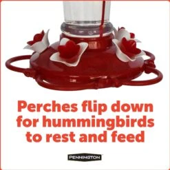 Pennington Pride Glass Hummingbird Feeder -Sunny Decor Shop 679430 PT3. AC SS1800 V1666187745