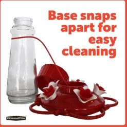 Pennington Pride Glass Hummingbird Feeder -Sunny Decor Shop 679430 PT5. AC SS1800 V1666188280