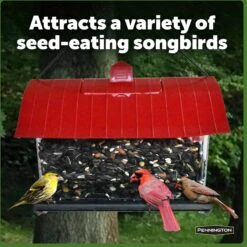 Pennington Country Barn Bird Feeder -Sunny Decor Shop 679446 PT5. AC SS1800 V1666188279