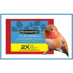 Pennington Glass Flip Perch Hummingbird Feeder -Sunny Decor Shop 679494 PT1. AC SS1800 V1666189336