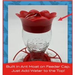 Pennington Glass Flip Perch Hummingbird Feeder -Sunny Decor Shop 679494 PT3. AC SS1800 V1666187010