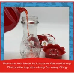 Pennington Glass Flip Perch Hummingbird Feeder -Sunny Decor Shop 679494 PT4. AC SS1800 V1666130096