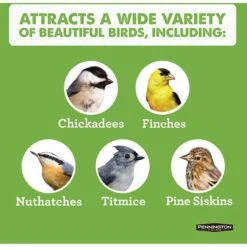 Pennington Pride Cedar Bin Bird Feeder -Sunny Decor Shop 679510 PT5. AC SS1800 V1677528916