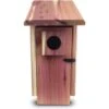 Pennington Pride Cedar Predator Guard Bird House 1 Pennington Pride Cedar Predator Guard Bird House -Sunny Decor Shop 679542 MAIN. AC SS1800 V1666098885