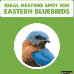 Pennington Pride Cedar Predator Guard Bird House -Sunny Decor Shop 679542 PT3. AC SS1800 V1666155255