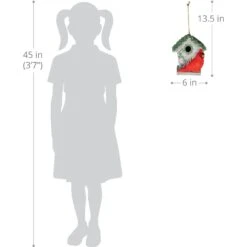 Exhart Solar Cardinal Hanging Bird House -Sunny Decor Shop 681006 PT3. AC SS1800 V1696538120