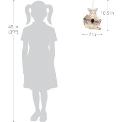 Exhart Hand Painted Pig With Welcome Sign Hanging Resin Bird House -Sunny Decor Shop 681086 PT2. AC SS1800 V1666297338