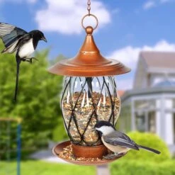 Exhart Solar Bronze Metal & Glass Bird Feeder -Sunny Decor Shop 681190 PT2. AC SS1800 V1666297279