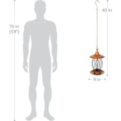 Exhart Solar Bronze Metal & Glass Bird Feeder -Sunny Decor Shop 681190 PT3. AC SS1800 V1666298426