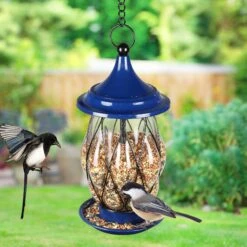 Exhart Metal Wire & Glass Bird Feeder, Blue -Sunny Decor Shop 681206 PT1. AC SS1800 V1666299373