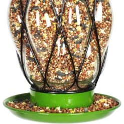 Exhart Celadon Metal Wire & Glass Bird Feeder, Green -Sunny Decor Shop 681222 PT4. AC SS1800 V1695660226