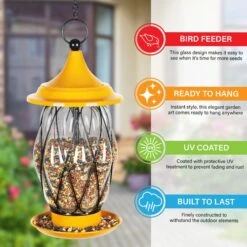 Exhart Tangerine Metal Wire & Glass Bird Feeder, Orange 10 Exhart Tangerine Metal Wire & Glass Bird Feeder, Orange -Sunny Decor Shop 681238 PT2. AC SS1800 V1695763098