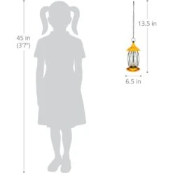 Exhart Tangerine Metal Wire & Glass Bird Feeder, Orange 11 Exhart Tangerine Metal Wire & Glass Bird Feeder, Orange -Sunny Decor Shop 681238 PT3. AC SS1800 V1695762714