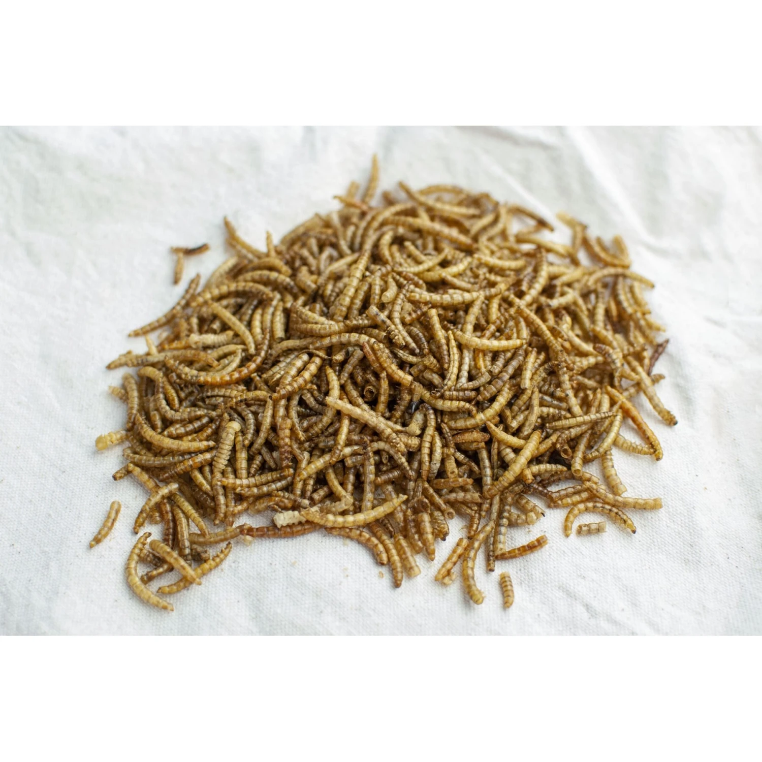Kalmbach Feeds All Natural 16% Protein Layer Crumbles Chicken Feed & Happy Hen Treats Mealworm Frenzy Poultry Treats 8 Kalmbach Feeds All Natural 16% Protein Layer Crumbles Chicken Feed & Happy Hen Treats Mealworm Frenzy Poultry Treats - Image 6