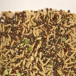 Wild Harvest Healthy Benefits Sprout Blend Small & Medium Bird Treats, 2.5-oz Bag -Sunny Decor Shop 700950 PT2. AC SS1800 V1667598689