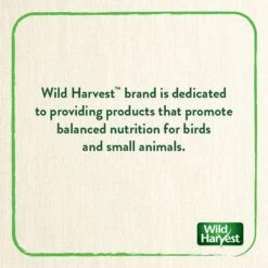 Wild Harvest Healthy Benefits Sprout Blend Small & Medium Bird Treats, 2.5-oz Bag -Sunny Decor Shop 700950 PT7. AC SS1800 V1667598329
