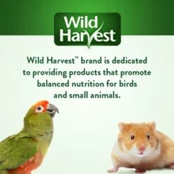 Wild Harvest Healthy Benefits Sprout Blend Large Bird Treats, 2.5-oz Bag -Sunny Decor Shop 700966 PT7. AC SS1800 V1667597592