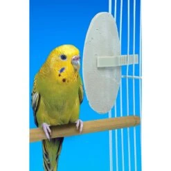 Penn-Plax Bird-Life Natural E Cuttlebones Bird Supplement, 2 Count -Sunny Decor Shop 714222 PT5. AC SS1800 V1668653979