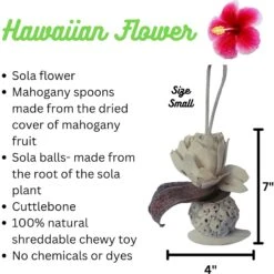 Polly's Pet Products Hawaiian Flower Bird Toy, Brown -Sunny Decor Shop 721998 PT1. AC SS1800 V1670517349