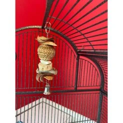 Polly's Pet Products Hawaiian Chew Toy, Brown, Medium -Sunny Decor Shop 722022 PT2. AC SS1800 V1670517938