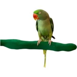 Polly's Pet Products Orthopedic Sandwalk Bird Perch 6 Polly's Pet Products Orthopedic Sandwalk Bird Perch -Sunny Decor Shop 723334 PT1. AC SS1800 V1670451620
