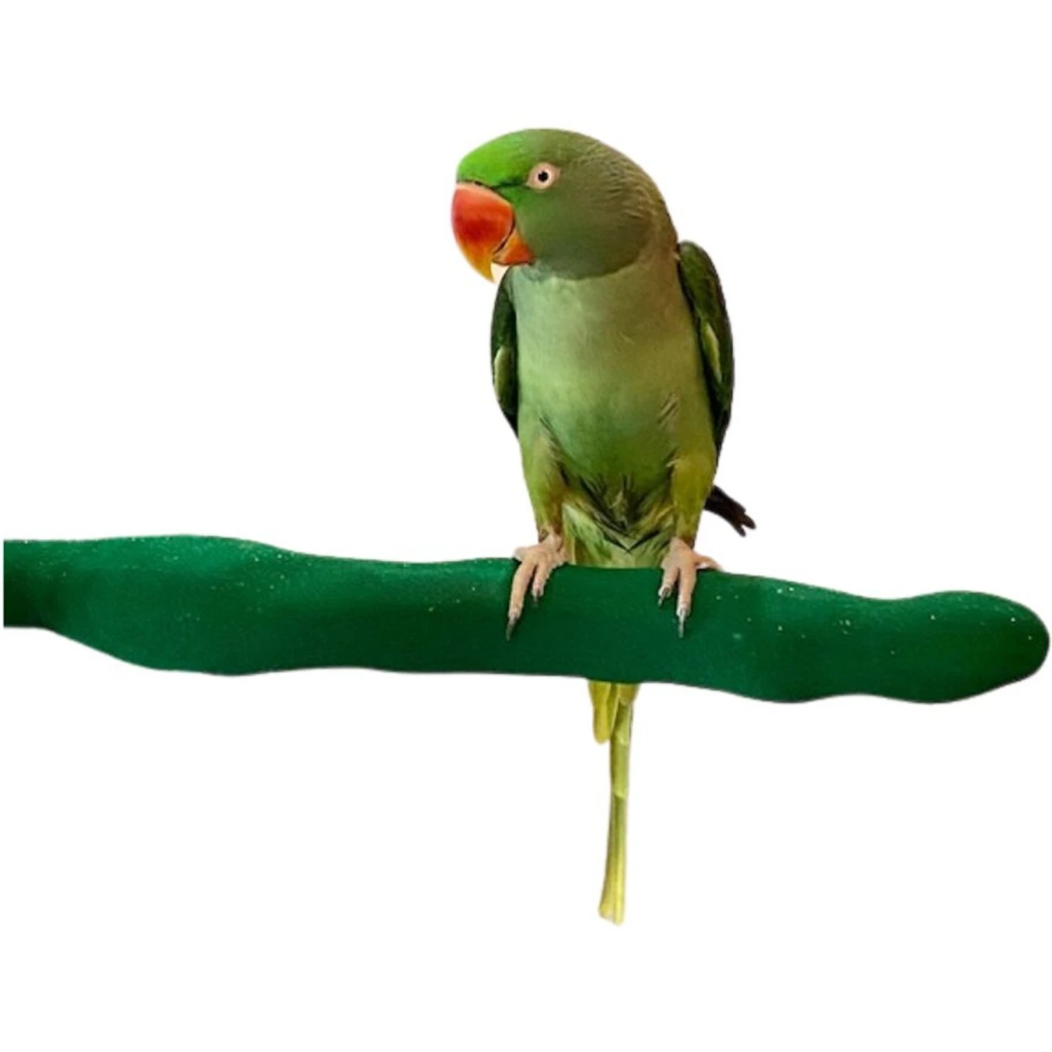 Polly's Pet Products Orthopedic Sandwalk Bird Perch 4 Polly's Pet Products Orthopedic Sandwalk Bird Perch - Image 2