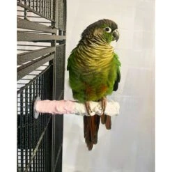 Polly's Pet Products Banana Split Cuttlebone & Calcium Bird Perch -Sunny Decor Shop 723382 PT2. AC SS1800 V1671035564