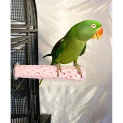 Polly's Pet Products Watermelon Flavor Tooty Fruity Bee Pollen Bird Perch, Pink -Sunny Decor Shop 723454 PT1. AC SS1800 V1671035322