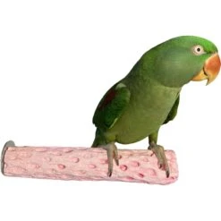 Polly's Pet Products Watermelon Flavor Tooty Fruity Bee Pollen Bird Perch, Pink -Sunny Decor Shop 723454 PT3. AC SS1800 V1671032900