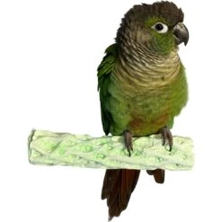 Polly's Pet Products Kiwi-Lime Flavor Tooty Fruity Bee Pollen Bird Perch, Green -Sunny Decor Shop 723510 PT3. AC SS1800 V1671032902