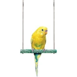 Penn-Plax Bird-Life Trimmer Plus Cement & Metal Bird Swing, Small -Sunny Decor Shop 726454 PT4. AC SS1800 V1669663038