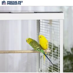 Prevue Pet Products Crystal Palace Bird Cage -Sunny Decor Shop 747014 PT8. AC SS1800 V1671223315