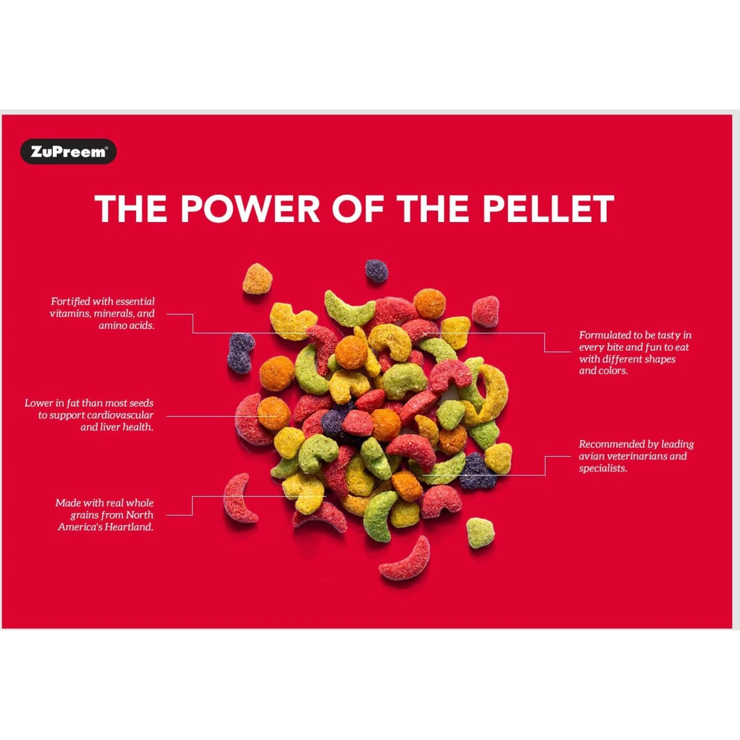 ZuPreem FruitBlend Flavor With Natural Flavors Daily Large Bird Food & ZuPreem Natural Daily Large Bird Food, 3-lb Bag 9 ZuPreem FruitBlend Flavor With Natural Flavors Daily Large Bird Food & ZuPreem Natural Daily Large Bird Food, 3-lb Bag - Image 7