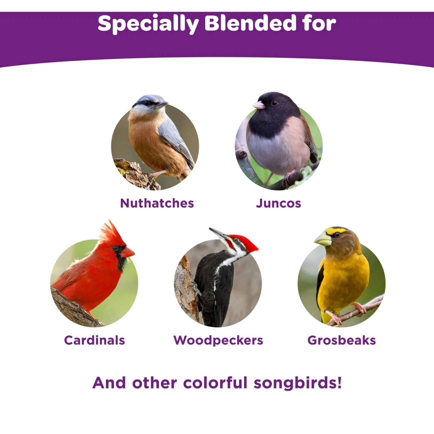 Kaytee Nut & Fruit Blend Wild Bird Food, 20-lb Bag 7 Kaytee Nut & Fruit Blend Wild Bird Food, 20-lb Bag - Image 5