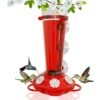 Nature Anywhere Window Hummingbird For Outdoors Bird Feeder 2 Nature Anywhere Window Hummingbird For Outdoors Bird Feeder -Sunny Decor Shop 785494 MAIN. AC SS1800 V1677170940