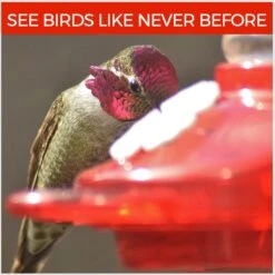 Nature Anywhere Window Hummingbird For Outdoors Bird Feeder -Sunny Decor Shop 785494 PT1. AC SS1800 V1677172435