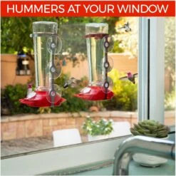 Nature Anywhere Window Hummingbird For Outdoors Bird Feeder -Sunny Decor Shop 785494 PT2. AC SS1800 V1677172435