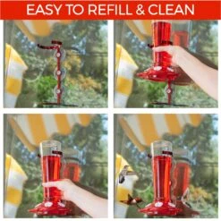 Nature Anywhere Window Hummingbird For Outdoors Bird Feeder -Sunny Decor Shop 785494 PT3. AC SS1800 V1677172437