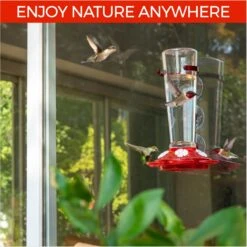 Nature Anywhere Window Hummingbird For Outdoors Bird Feeder -Sunny Decor Shop 785494 PT4. AC SS1800 V1677172436