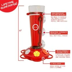 Nature Anywhere Window Hummingbird For Outdoors Bird Feeder -Sunny Decor Shop 785494 PT6. AC SS1800 V1677783551