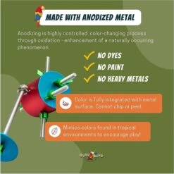 Busy Bird Busy Barrel Bird Toy -Sunny Decor Shop 793030 PT2. AC SS1800 V1679405530