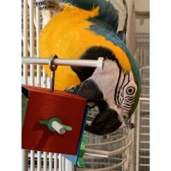 Busy Bird Busy Box Bird Toy 10 Busy Bird Busy Box Bird Toy -Sunny Decor Shop 793046 PT3. AC SS1800 V1679405943