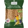 Living World Spray MilletBird Treat, 7-oz Bag
