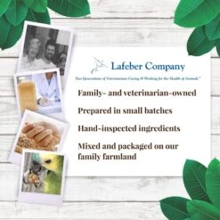 Lafeber Banana Nutri-Berries Parrot Food, 7-oz Tin -Sunny Decor Shop 797150 PT5. AC SS1800 V1678999288