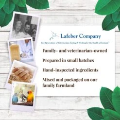 Lafeber Banana Nutri-Berries Small Bird Food, 7-oz Tin 14 Lafeber Banana Nutri-Berries Small Bird Food, 7-oz Tin -Sunny Decor Shop 797166 PT5. AC SS1800 V1678998324